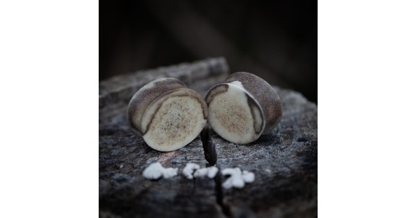 Plugy 22 mm organické