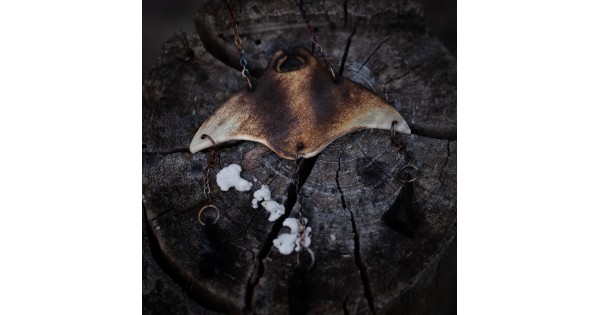 Manta č. 4