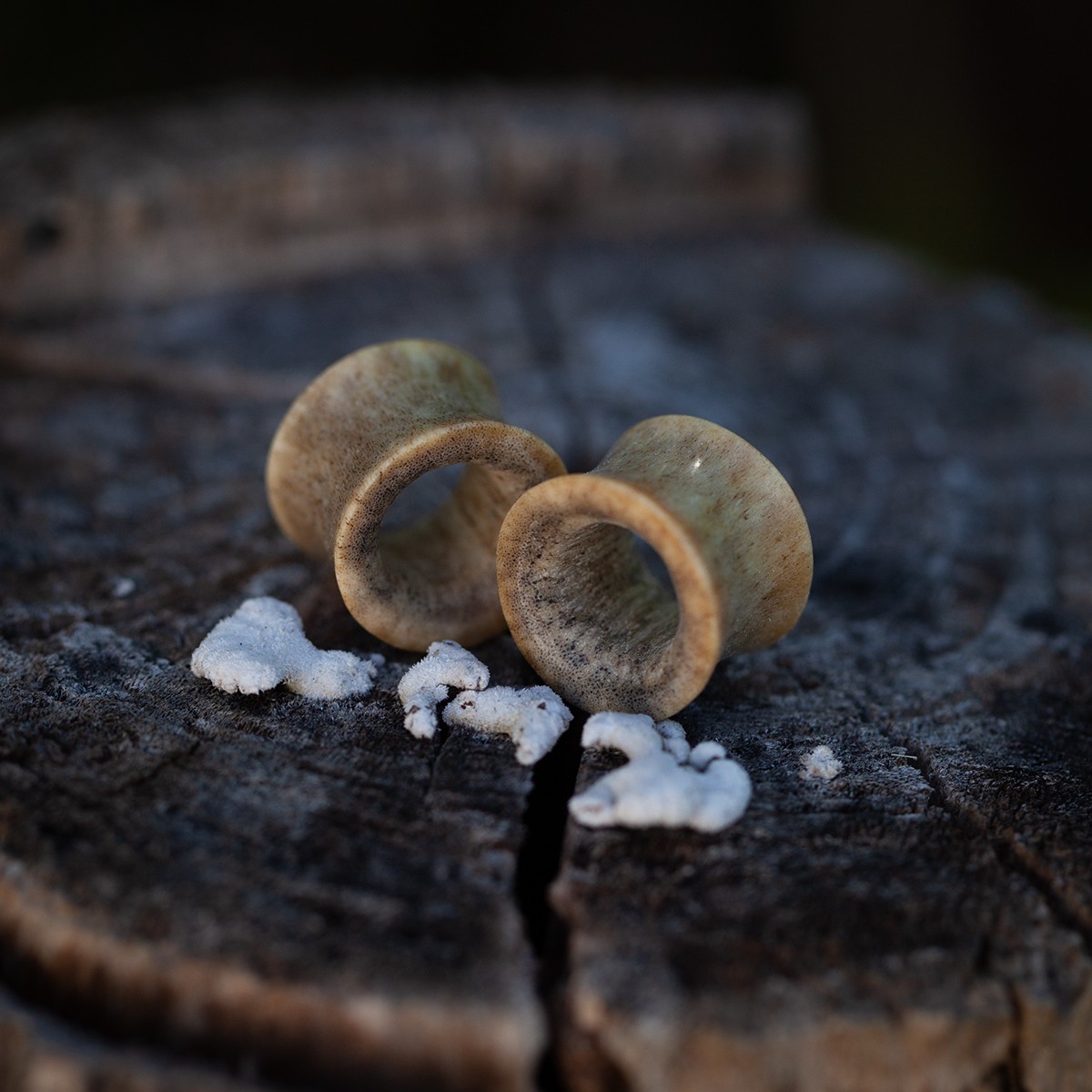 Tunely 14 mm