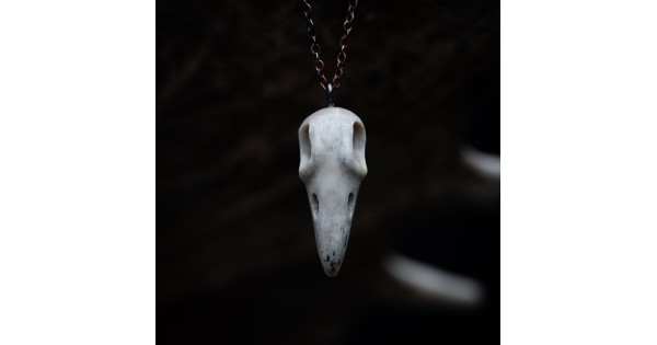 Ptačí lebka č. 11