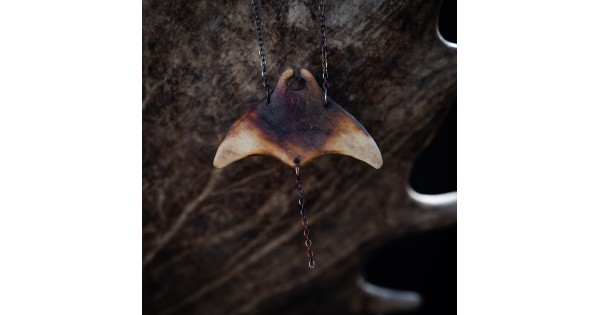 Manta č. 5