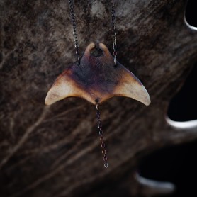 Manta č. 5