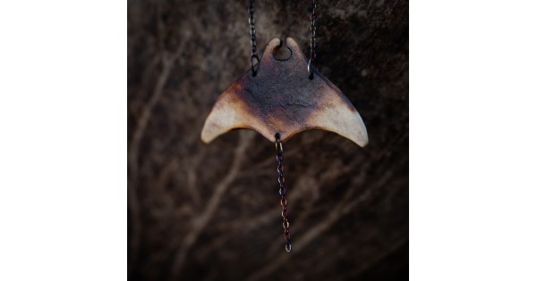 Manta č. 5