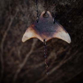 Manta č. 5
