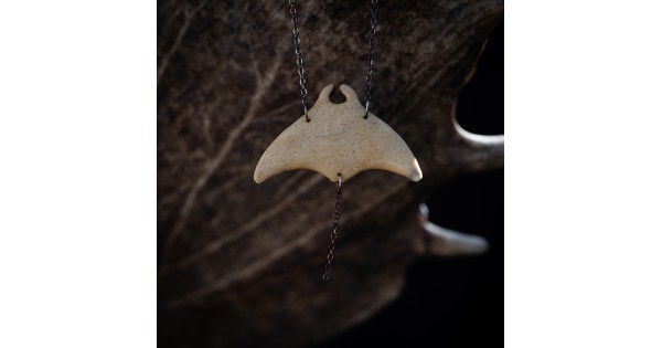 Manta č. 5