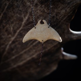 Manta č. 5