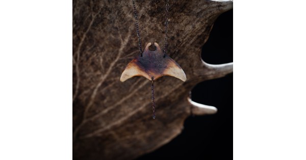 Manta č. 5