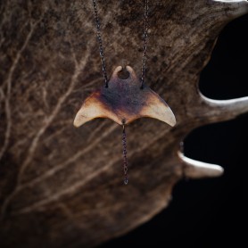 Manta č. 5