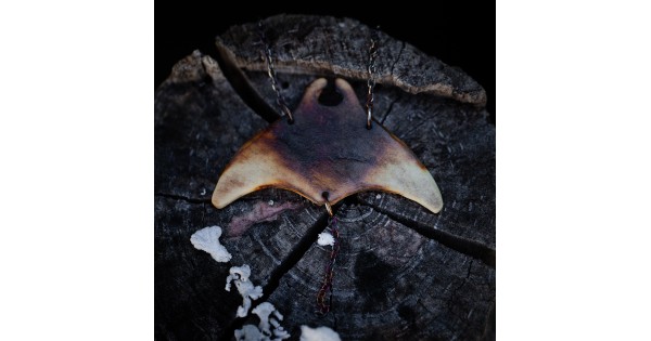 Manta č. 5