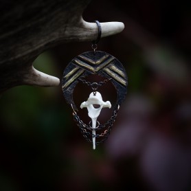 Fjara